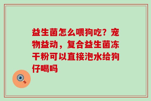 益生菌怎么喂狗吃？宠物益动，复合益生菌冻干粉可以直接泡水给狗仔喝吗