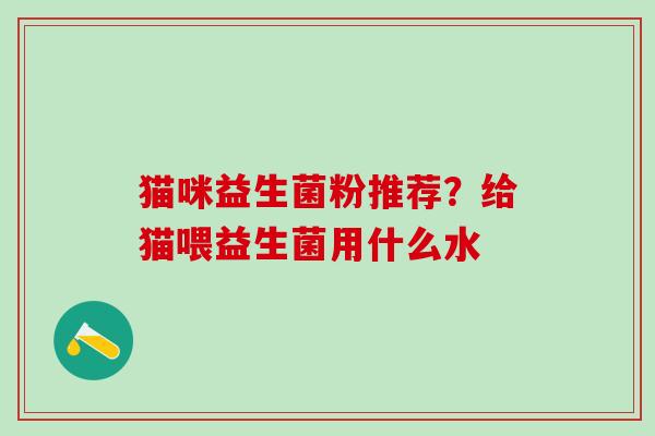 猫咪益生菌粉推荐？给猫喂益生菌用什么水