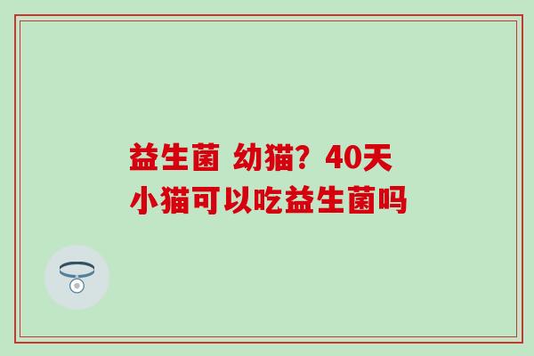 益生菌 幼猫？40天小猫可以吃益生菌吗