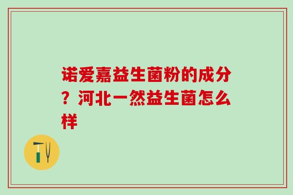 诺爱嘉益生菌粉的成分？河北一然益生菌怎么样