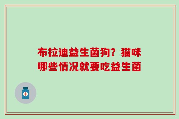 布拉迪益生菌狗？猫咪哪些情况就要吃益生菌