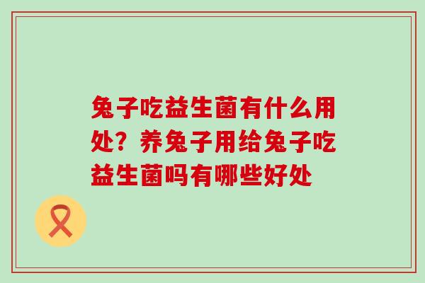 兔子吃益生菌有什么用处？养兔子用给兔子吃益生菌吗有哪些好处