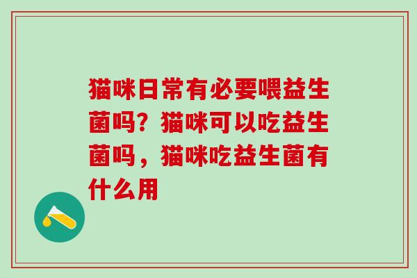 猫咪日常有必要喂益生菌吗？猫咪可以吃益生菌吗，猫咪吃益生菌有什么用