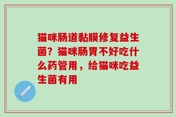 猫咪肠道黏膜修复益生菌？猫咪肠胃不好吃什么药管用，给猫咪吃益生菌有用