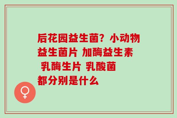 后花园益生菌？小动物益生菌片 加酶益生素 乳酶生片 乳酸菌 都分别是什么