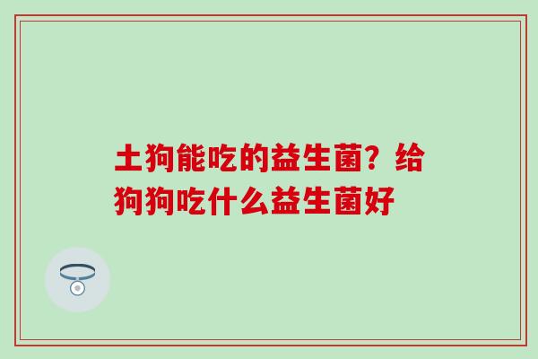土狗能吃的益生菌？给狗狗吃什么益生菌好
