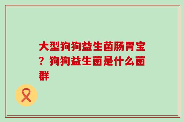 大型狗狗益生菌肠胃宝？狗狗益生菌是什么菌群