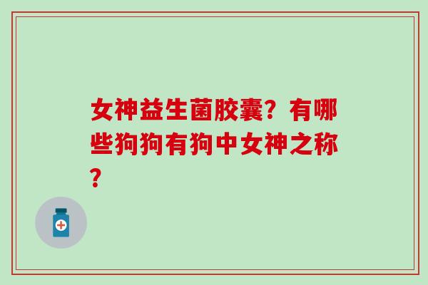 女神益生菌胶囊？有哪些狗狗有狗中女神之称？
