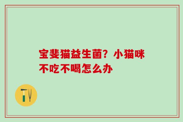 宝斐猫益生菌？小猫咪不吃不喝怎么办