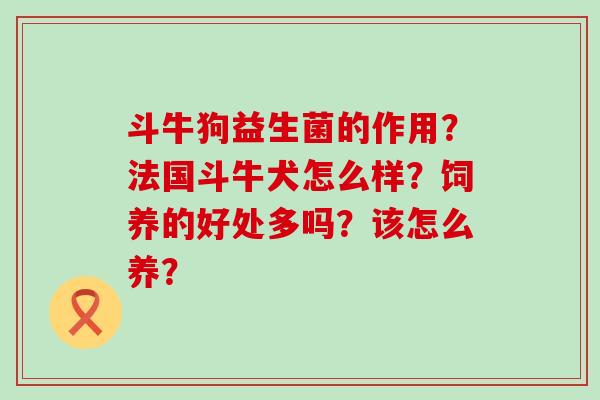 斗牛狗益生菌的作用？法国斗牛犬怎么样？饲养的好处多吗？该怎么养？