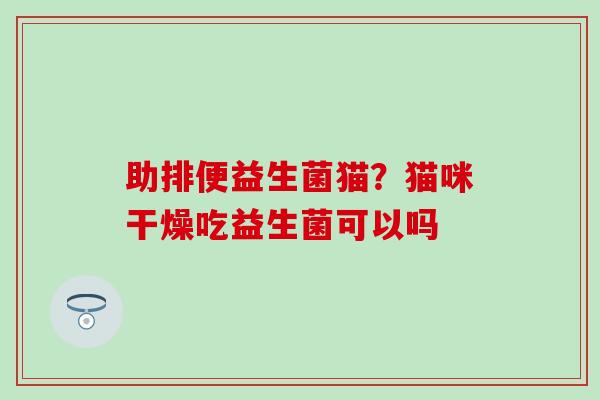 助排便益生菌猫？猫咪干燥吃益生菌可以吗