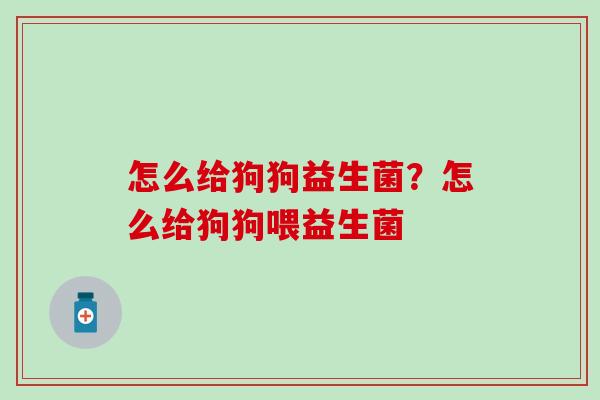 怎么给狗狗益生菌？怎么给狗狗喂益生菌