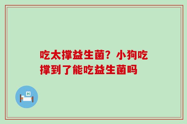 吃太撑益生菌？小狗吃撑到了能吃益生菌吗