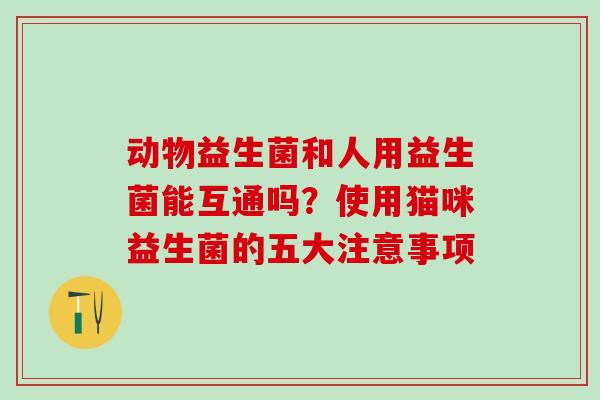 动物益生菌和人用益生菌能互通吗？使用猫咪益生菌的五大注意事项