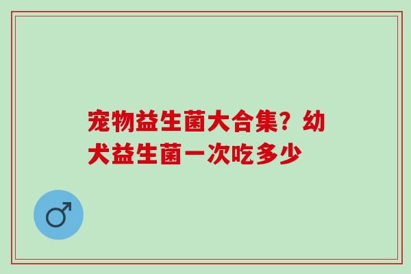 宠物益生菌大合集？幼犬益生菌一次吃多少