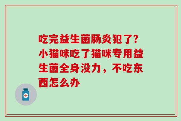 吃完益生菌肠炎犯了？小猫咪吃了猫咪专用益生菌全身没力，不吃东西怎么办