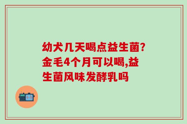 幼犬几天喝点益生菌？金毛4个月可以喝,益生菌风味发酵乳吗