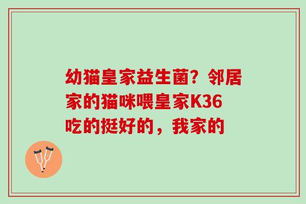 幼猫皇家益生菌？邻居家的猫咪喂皇家K36吃的挺好的，我家的