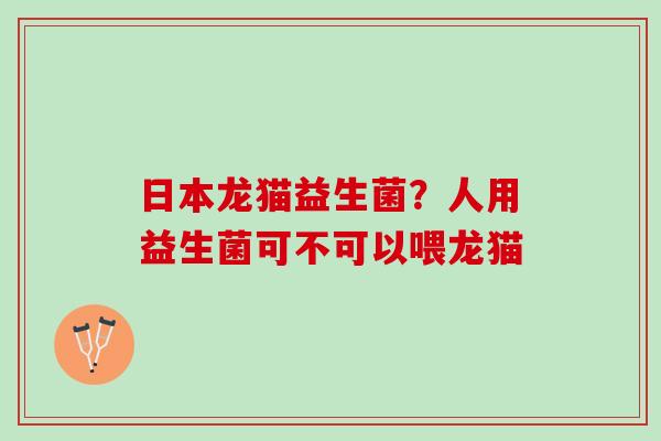 日本龙猫益生菌？人用益生菌可不可以喂龙猫