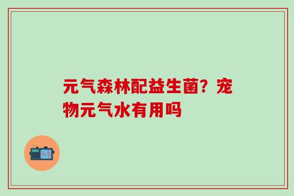 元气森林配益生菌？宠物元气水有用吗