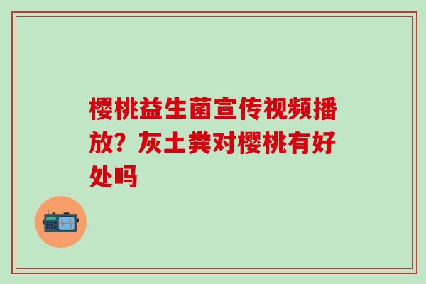 樱桃益生菌宣传视频播放？灰土粪对樱桃有好处吗