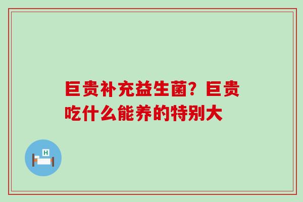巨贵补充益生菌？巨贵吃什么能养的特别大