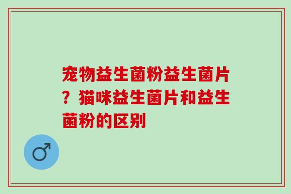 宠物益生菌粉益生菌片？猫咪益生菌片和益生菌粉的区别