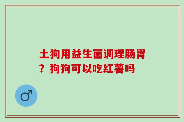 土狗用益生菌调理肠胃？狗狗可以吃红薯吗
