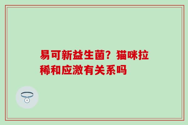 易可新益生菌？猫咪拉稀和应激有关系吗