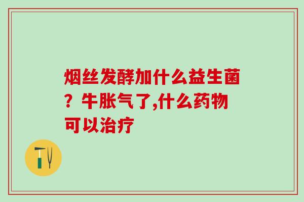 烟丝发酵加什么益生菌？牛胀气了,什么药物可以治疗