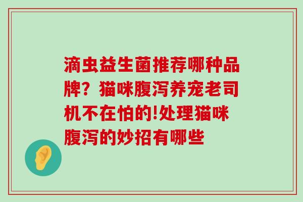 滴虫益生菌推荐哪种品牌？猫咪腹泻养宠老司机不在怕的!处理猫咪腹泻的妙招有哪些