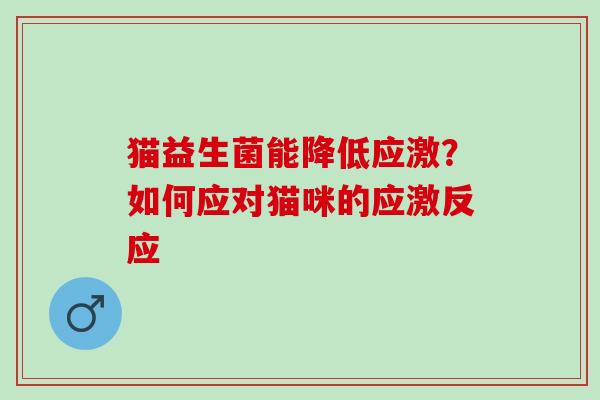 猫益生菌能降低应激？如何应对猫咪的应激反应
