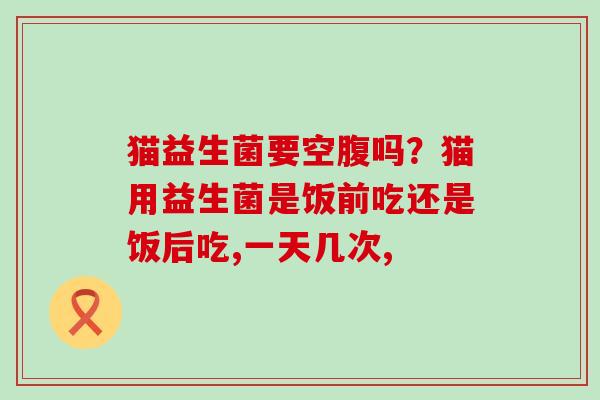 猫益生菌要空腹吗？猫用益生菌是饭前吃还是饭后吃,一天几次,
