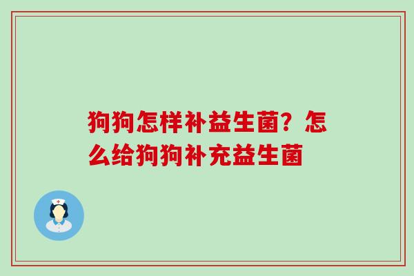 狗狗怎样补益生菌？怎么给狗狗补充益生菌