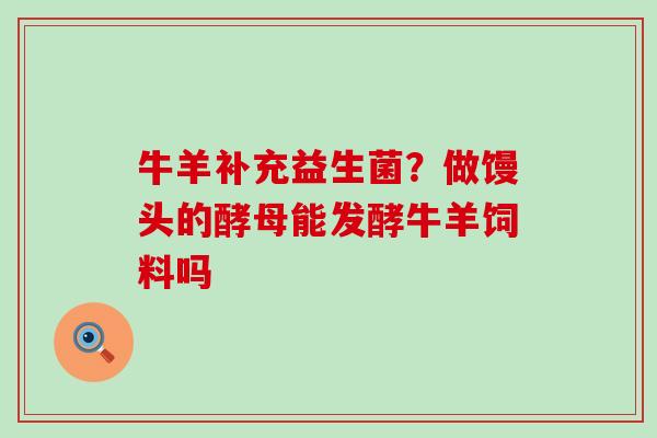 牛羊补充益生菌？做馒头的酵母能发酵牛羊饲料吗