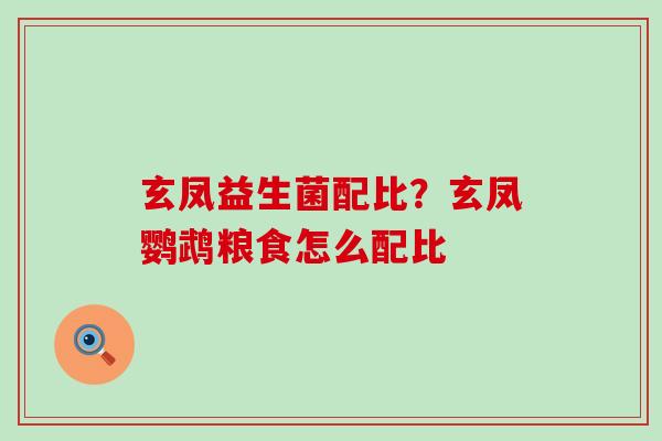 玄凤益生菌配比？玄凤鹦鹉粮食怎么配比