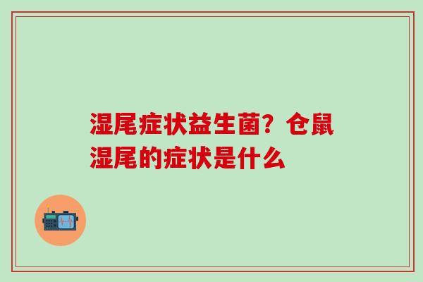 湿尾症状益生菌？仓鼠湿尾的症状是什么