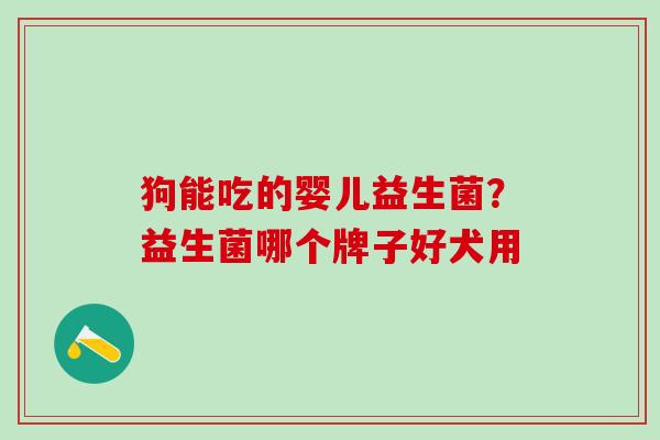 狗能吃的婴儿益生菌？益生菌哪个牌子好犬用