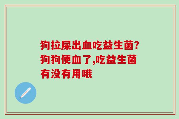 狗拉屎出血吃益生菌？狗狗便血了,吃益生菌有没有用哦