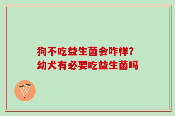 狗不吃益生菌会咋样？幼犬有必要吃益生菌吗