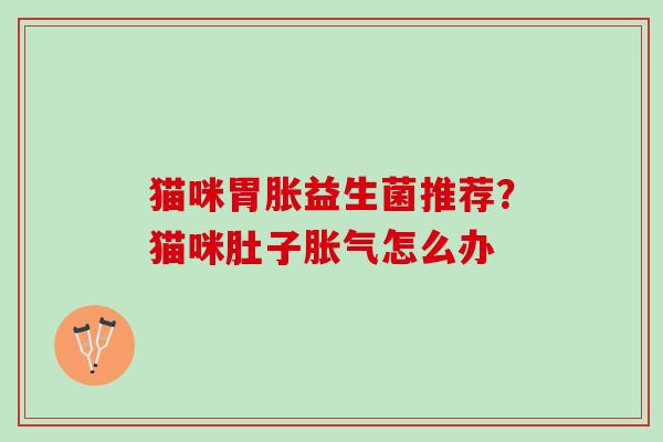 猫咪胃胀益生菌推荐？猫咪肚子胀气怎么办
