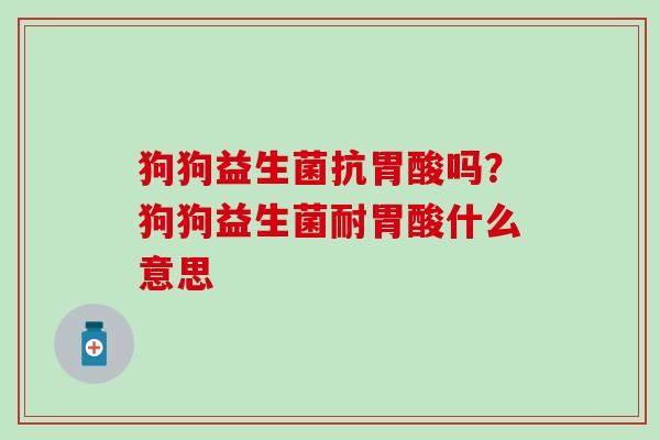 狗狗益生菌抗胃酸吗？狗狗益生菌耐胃酸什么意思