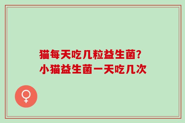 猫每天吃几粒益生菌？小猫益生菌一天吃几次