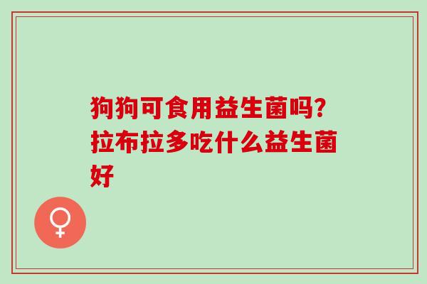 狗狗可食用益生菌吗？拉布拉多吃什么益生菌好
