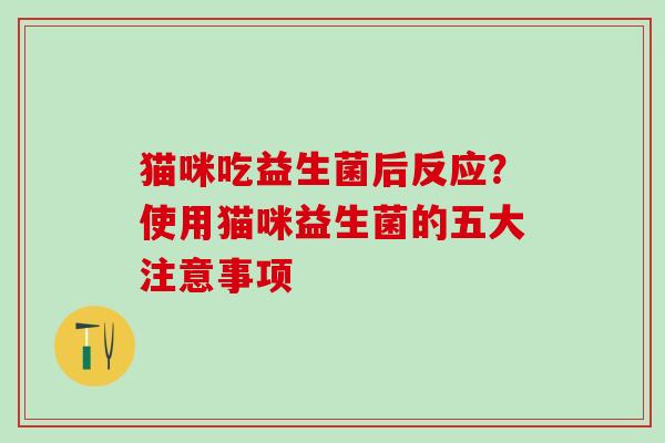 猫咪吃益生菌后反应？使用猫咪益生菌的五大注意事项