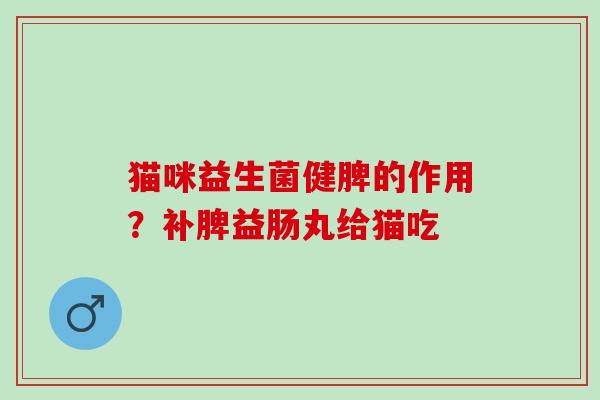 猫咪益生菌健脾的作用？补脾益肠丸给猫吃