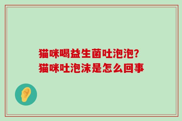 猫咪喝益生菌吐泡泡？猫咪吐泡沫是怎么回事