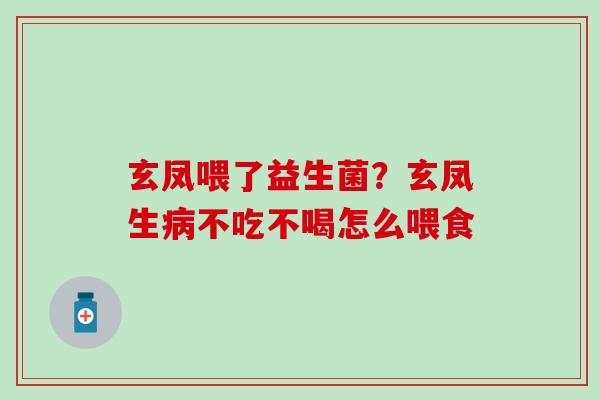 玄凤喂了益生菌？玄凤生不吃不喝怎么喂食