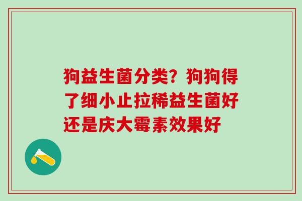 狗益生菌分类？狗狗得了细小止拉稀益生菌好还是庆大霉素效果好