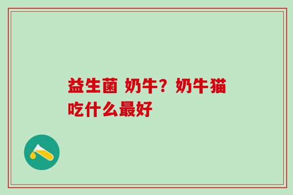益生菌 奶牛？奶牛猫吃什么好